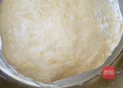 家庭版小麻花的做法图解4