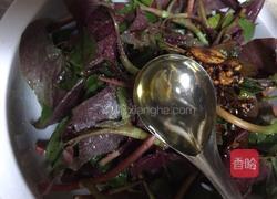 春季野菜~凉拌折耳根（叶）的做法图解11