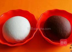 双色花卷的做法图解3