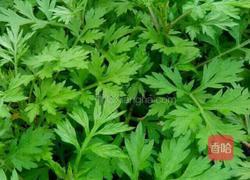 艾叶饺子的做法图解1