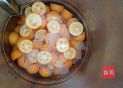 全能止咳灵的做法图解3