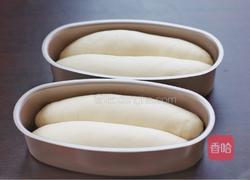 酸奶小吐司的做法图解16