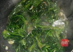 蒜蓉菠菜的做法图解5