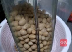 蒲公英菜豆腐的做法图解2