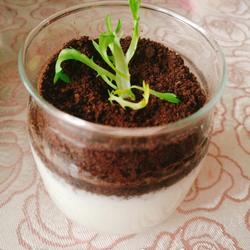 酸奶绿植盆栽的做法[图]