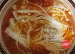 番茄金针菇牛腩汤的做法图解8