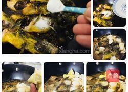 鲜笋黄辣丁的做法图解4