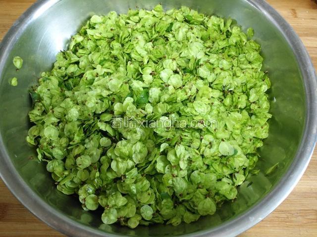 榆钱洗净挪去水分，放点香油搅拌均匀