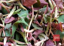 凉拌鱼腥草（叶）的做法图解2