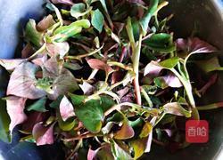 凉拌鱼腥草（叶）的做法图解3