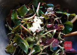 凉拌鱼腥草（叶）的做法图解4