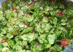 榆钱炒鸡蛋的做法图解3