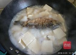 鲫鱼炖豆腐汤的做法图解13
