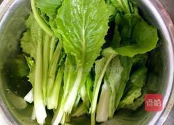蒜蓉小白菜的做法图解1