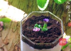 酸奶盆栽的做法图解6