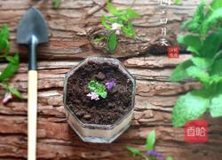 酸奶盆栽的做法图解7