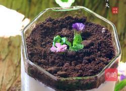 酸奶盆栽的做法图解8