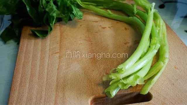 长菠菜只取梗的部分