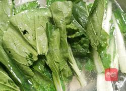 青菜鱼汤的做法图解7