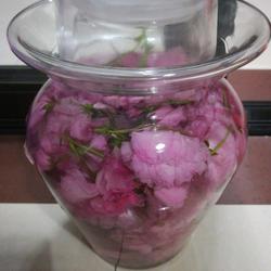 樱花酒的做法[图]