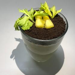 超简易网红盆栽芒果奶昔的做法[图]