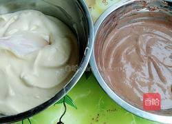 斑纹戚风蛋糕的做法图解11