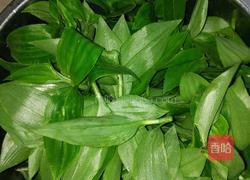 竹叶菜的做法图解2