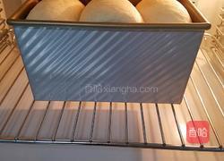 全麦北海道吐司的做法图解11