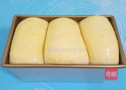 全麦北海道吐司的做法图解12