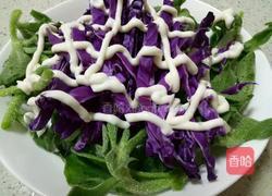 冰草紫甘蓝蔬菜沙拉的做法图解7