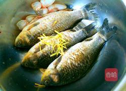 红烧鲫鱼的做法图解3