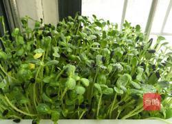 菠萝春笋鲜肉饺的做法图解2