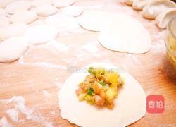 菠萝春笋鲜肉饺的做法图解8