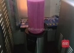 火龙果香蕉奶昔的做法图解4