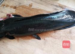 烧鲶鱼的做法图解1