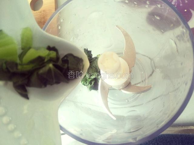 菠菜叶捞出切碎放入辅食机中，搅碎后取汁20g