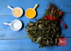 蒜蓉马齿苋的做法图解1