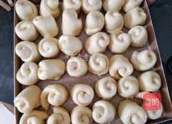 蜂蜜脆底小面包的做法图解16