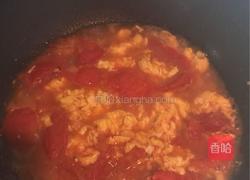 番茄炒蛋的做法图解6