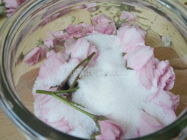 晾干的花朵，要铺在玻璃容器中，首先铺一层花再洒一层盐再铺一层花再叠上一层