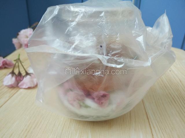 然后再用一个打包带套起来放入阴凉干燥处
大约两天后拆开袋子看一下，因为玻璃是透明的，所以特别容易观察，如果樱花微微出水，可以将盐和樱花都取出，
樱花用厨房纸吸干一下，然后再重新重复腌一遍，这样经过两次盐渍后，做出来的樱花会比较鲜艳干燥
