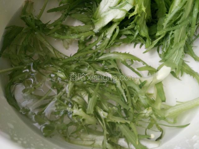 准备苦菊放清水中，择洗干净