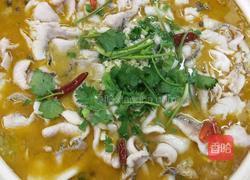 麻辣水煮鱼片的做法图解4