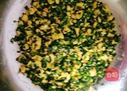 韭菜鸡蛋饺子的做法图解12