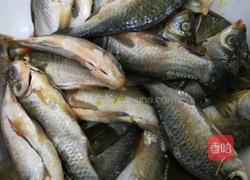 香酥小鲫鱼的做法图解1