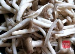 小蘑菇炖鸡腿的做法图解3