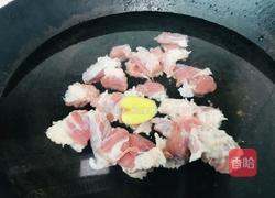 西红柿炖牛腩的做法图解4