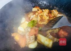 西红柿炖牛腩的做法图解10