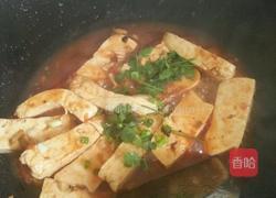 西红柿烧豆腐的做法图解5