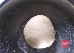 樱花蜂蜜小面包的做法图解3